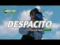 Lagu DJ DESPACITO SLOW BASS SANTAI