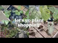 Massive Tropical Greenhouse Plant Shopping at Merrifield Garden Center in Fairfax VA
