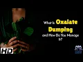 Oxalate Dumping 101 Why Your Detox Is Making You Miserable