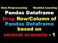 Python Pandas Tutorial Drop Rows and Columns of a Pandas Dataset - P1
