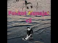 Download Lagu Funkot munajat cinta V2 full