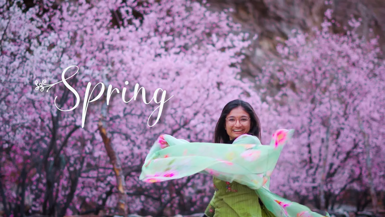 An epic Himalayan SPRING | Wild Apricot & Apricot blossom | Sony a6600 An epic Himalayan SPRING | Wild Apricot & Apricot blossom | Sony a6600