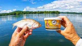 Night Crawlers vs Shad Catfish Bait Challenge EPIC Surprise Catch