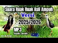 Download Lagu SUARA PIKAT RUAK RUAK ASLI AMPUH TERBARU 2025/2026@PEMIKAT BURUNG