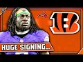 Bengals make SNEAKY good signing Multiple SHOCKING Bengals Updates Bengals News