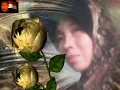 Download Lagu KISAH  BUKU  HARIAN  KU  ===  PARAMITA  RUSADI ( COVER JAZIROH )