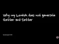 Why my Lombok does not generate Getter and Setter