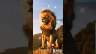 صور الاسود اغاني    دندنها