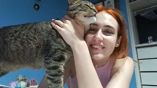 hometown vlog haul sewing kitty