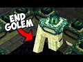 Download Lagu Every Minecraft Golem Mod You've Never Seen Before