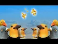 Building Boids in Unity 3D