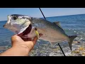 Download Lagu BIG FISH HURT THEN CAME TO THE DEAD HEAD FISHING MERSIN
