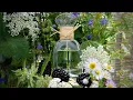 HERBAE by L Occitane en Provence 2019 - fragrance review