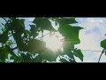 CINEMATIC VIDEO | Play Date | Natural View