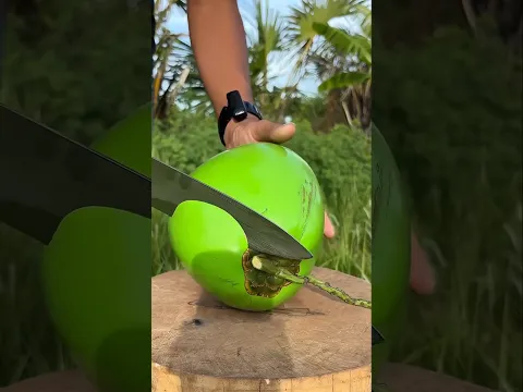 This boy made a big mistake by breaking a raw coconut.