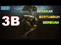 Download Lagu 3B - Berakar Bertumbuh Berbuah by Ps Henry Lo