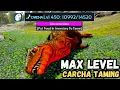 MAX LEVEL CARCHA TAMING ARK MOBILE ULTIMATE EDITION 2025