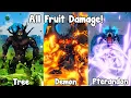ALL FRUIT DAMAGE SHOWCASE in King Legacy Update 10