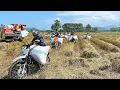 Download Lagu Ojek gabah korban janda pirang | erea berlumpur