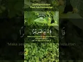 Alam Nasroh Beserta Artinya #shorts #videtrending #foryou #fyp #trending #quran