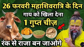 महाशिवरात्रि के दिन गाय को चुपचाप खिला देना एक गुप्त चीज़ रंक भी बन जायेगा राजा #premanandjimaharaj