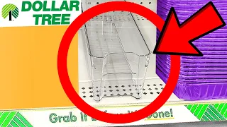 10 Things You SHOULD Be Buying at Dollar Tree in August 2026
