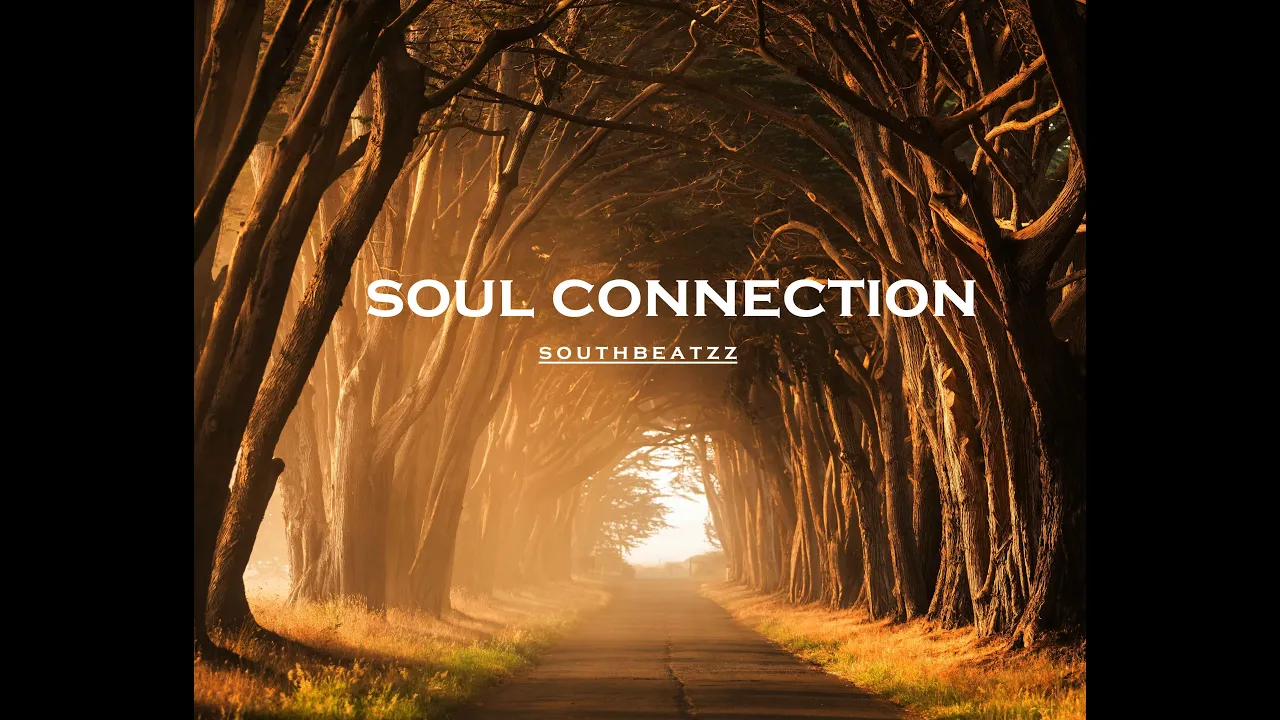 Fireboy Dml Type Beat x Omah lay Type Beat 2022|Afropop x Afrobeat Type Beat 2022 "SOUL CONNECTION"