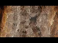 BLR - Bark