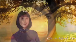 Đường chiều lá rụng
