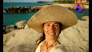 BIMINI, Bahamas | Eagle Rays, Sharks and Poison Tree [WI Ep 103]