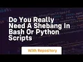 Do you really need a shebang in bash or python scripts