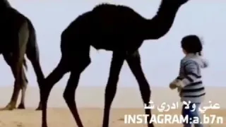 انا لي وليف غاب عني ولا ادري شفيه يقولون خلك راح 