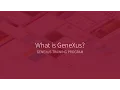 GeneXus 15 Brief Description of the tool