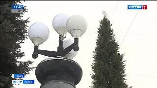 Главную городскую ёлку в Омске откроют 27 декабря