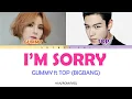 GUMMY거미   I'M SORRY미안해요 ft  T O PHANROMMGL COLOR CODED LYRICS