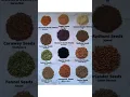 Download Lagu Kitchen grocery Garam masala #kitchen #recipe #masala #garammasala #garammasalarecipe #blackpaper