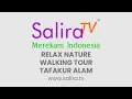 Download Lagu LIVE NOW: 24/7 - Relax Nature Indonesia by Salira TV