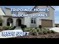 Tripointe Homes Bloom at Sunridge Park in Rancho Cordova CA Plan 3 3375 sqft 800 000
