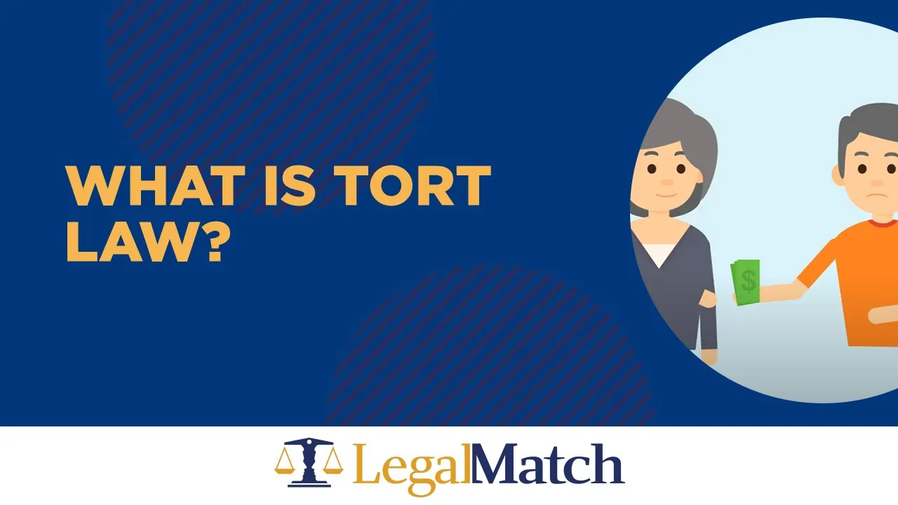 Tort Law Explained: Types, Negligence, and Remedies