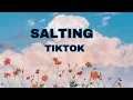 Download Lagu SALTING Ko Paling Manis-Rendy Da Silva/TIKTOK SONG