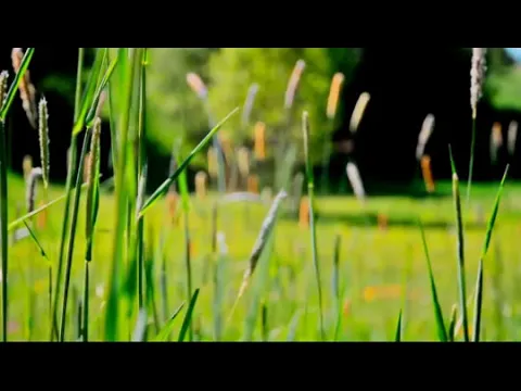 Vaazhvil Nee - YouTube