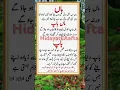 Download Lagu Maa Baap ki Ahmiyat #maa #baap #maabaap #islamicbayan #quotes #urdupoetry #HidayatEAafta #shorts