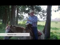Download Lagu Perseverance - Family Time with Angus Buchan
