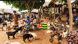 Largest Rural Village Market Day In Vogan Togo West Africa Cost Of Living In An African Village 