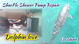SDA100 Cat Island, Dolphin and  Shower Pump Repair