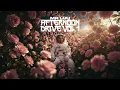Lagu Mr Luu Afternoon Drive Vol 1