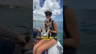 The Best Seafood Restaurant In Aruba 🇦🇼 #zeerover #seafood #fishmarket #aruba #sailingbyefelicia