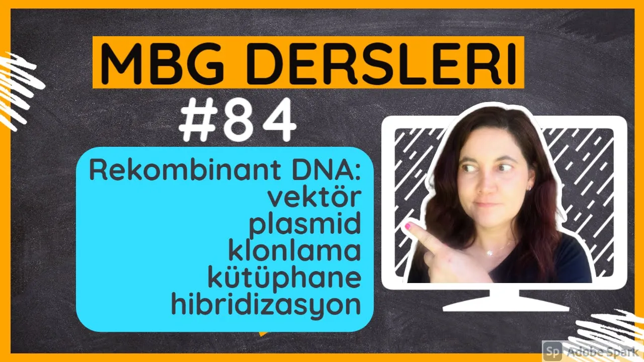 Rekombinant DNA: vektör, plasmid, klonlama, kütüphane, hibridizasyon