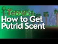 How to Get Putrid Scent in Terraria