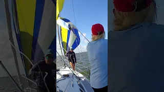 Peanut Regatta 40 #shorts